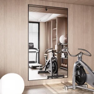 71 x 24 Full Body Mirror