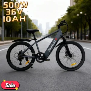 electric bicycle